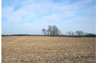 Property photo 1 - REAL ESTATE AUCTION - 84.5+/- ACRES IN 4 TRACTS IN WHITLEY COUNTY, INDIANA